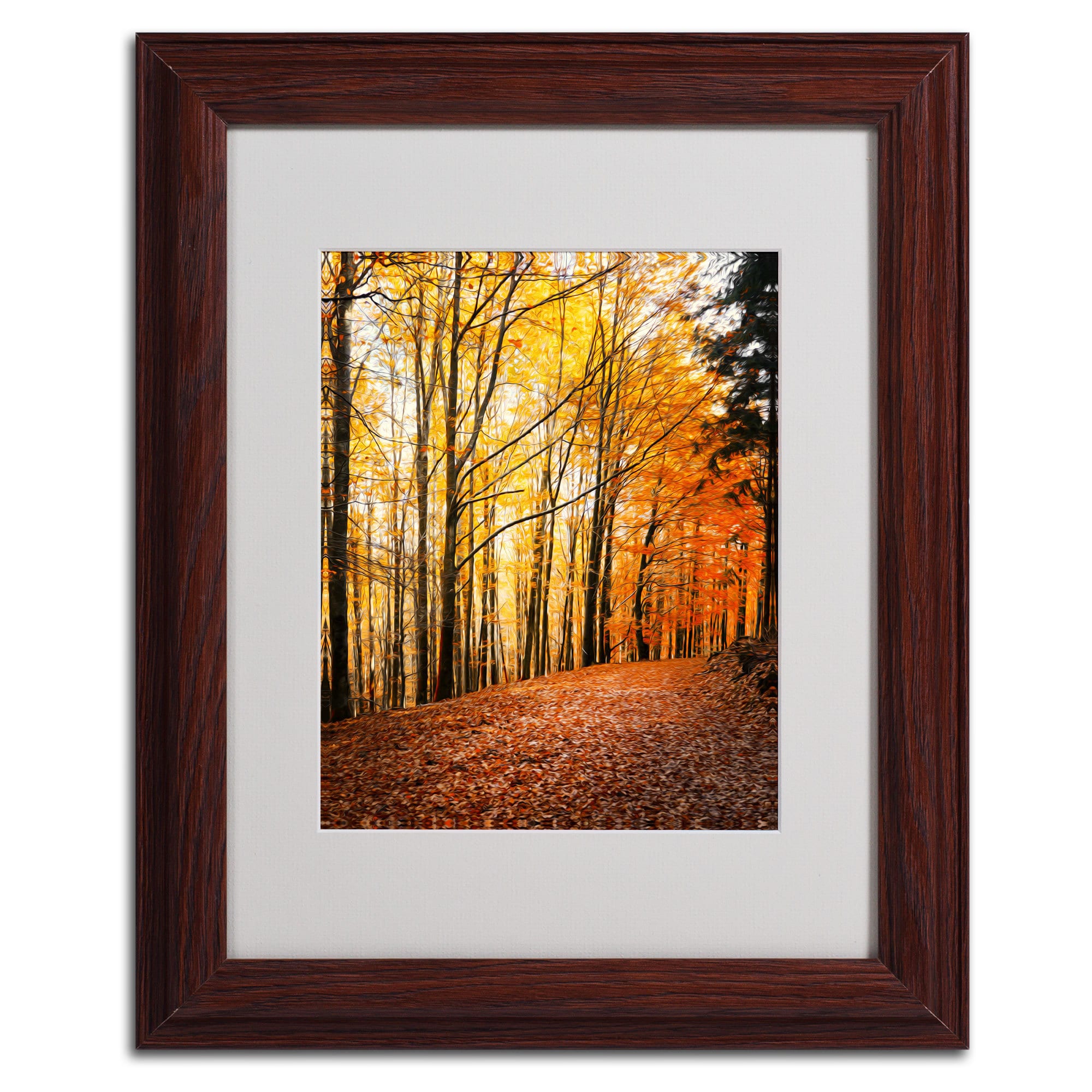 Trademark Fine Art "Yellow Moment" Canvas Art by Philippe Sainte-Laudy, Wood Frame
