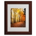 thumbnail image 3 of Trademark Fine Art "Yellow Moment" Canvas Art by Philippe Sainte-Laudy, Wood Frame, 3 of 5