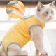 thumbnail image 4 of Cat Recovery Suit Prevent Licking Breathable Comfortable Kitten Surgical Recovery Suit for Abdominal Recovery Weaning M, 4 of 4
