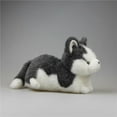 thumbnail image 7 of Cute Husky Dog Stuffed Animal Plush Toys, Dog Plushies, Birthday Gift, 7 of 7