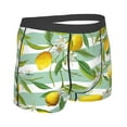 thumbnail image 3 of Bingfone Lemon Men'S Underwear - Casual Stretch Boxer Briefs-Large, 3 of 9