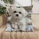 thumbnail image 4 of Juego de almohadas con estampado de animales bonitos para dormitorio, sala de estar, sofá, cojín de 45 x 45 cm para decoración de sofá y sala de estar, funda de almohada aterciopelada., 4 of 6