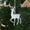 B, variant on Lilgiuy Christmas Reindeer Hanging Ornaments White Christmas Tree Decoration Reindeer Xmas Pendants Novelty Decoration for Holiday New Year Party Seasonal Decor (5.51x2.95in)