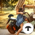 thumbnail image 1 of QUMIIRITY Back Rest for Cycling with Durability Features Black 1Set, 1 of 8