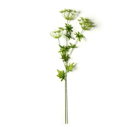 UPC: 0886946184239 | Light Green Queen Anne s Lace Spray by Ashland®