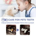 thumbnail image 6 of 1Pcs Dog & Cat Breath Freshener Dental Care Spray,Tooth Cleaning Spray for Dogs & Cats,Pet Clean No Brushing Pet Oral Care Spray,Remove & Fight Bad Breath Caused by Tartar and Plaque for Dogs & Cats, 6 of 7