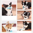 thumbnail image 4 of White - Blue 4Juguete de cepillo de dientes para perros interactivo: Juguete para masticar para perros, masticadores agresivos, juguete de limpieza de dientes para mascotas, Flexib, 4 of 5