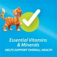thumbnail image 5 of (2 pack) Purina Kit and Kaboodle Dry Cat Food Original Poultry, Liver and Ocean Fish Flavors, 3 lb. Bag, 5 of 10