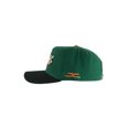 thumbnail image 2 of GORRA JC HATS LIFE GREEN UNITALLA, 2 of 5