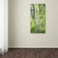 thumbnail image 4 of Trademark Fine Art Mandy Budan Hide And Seek Canvas Wall Art - 24x47, 4 of 4