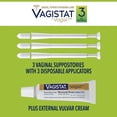 thumbnail image 2 of Vagistat by Vagisil 3-Day Vaginal Antifungal Yeast Infection Treatment Cream, Combination Pack, 2 of 7
