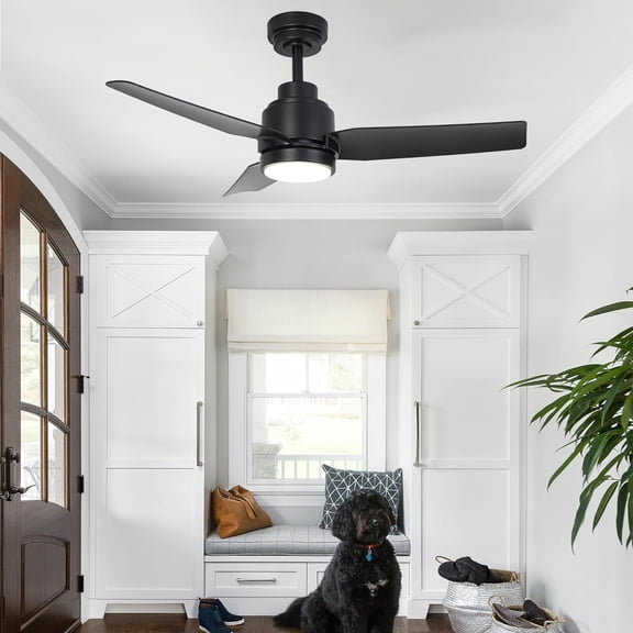 42 Inch Morden Ceiling Fan with Light & Remote - Black Ceiling Fan with 6 Speeds,Reversible Motor, Noiseless,Indoor for Patios Living Room Bedroom