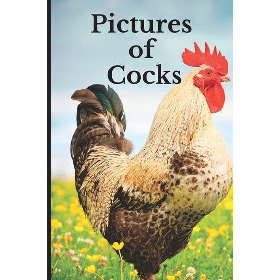 Pictures of Cocks: Funny White Elephant, Yankee Swap, Secret Santa Gift, (Stupid Gifts Ideas), (Paperback)