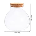 thumbnail image 2 of Raindrops Live Terrarium Jar Glass Jar Multi Elegant Design 1Set, 2 of 6