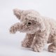 thumbnail image 5 of Elefante de peluche de juguete, pequeño regalo encantador para niños, niñas, niños, amigos, 20cm JM, 5 of 5