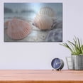 thumbnail image 4 of Luxe Metal Art 'Crescent Beach Shells 10' by Alan Blaustein Metal Wall Art, 16"x12", 4 of 8