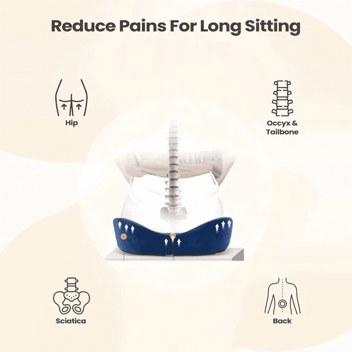 Coccyx Pillow, Memory Foam Seat Cushion Works to Reduce Pain