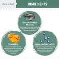 thumbnail image 2 of Chew + Heal Senior Dogs Mobility Soft Chews - 60 Ct. - Made with Glucosamine, MSM, Chondroitin, Green Lipped Mussels and More, 2 of 9