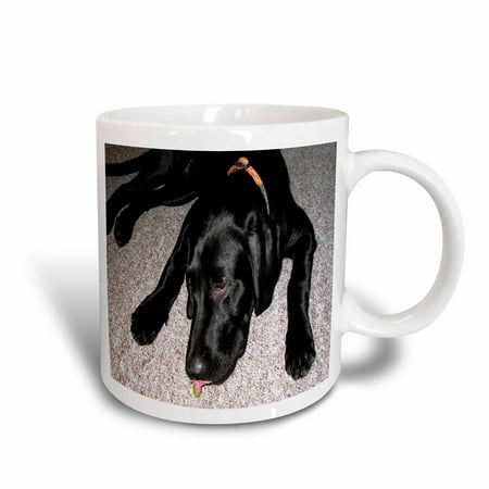 Grape Ceramic - 3dRose Black Lab Eating Grape, Ceramic Mug, 11-ounce