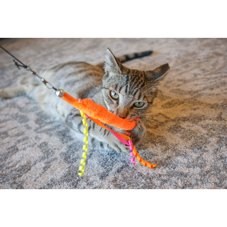 Vibrant Life Worm Teaser Wand Cat Toy