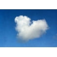 thumbnail image 2 of Peck, Gail 14x11 White Modern Wood Framed Museum Art Print Titled - Love is in the Air, 2 of 4