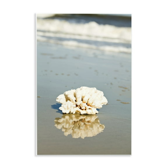 Stupell Industries Coral on Sea Shore Coastal Photography Unframed Art Print Wall Art, 10 x 15