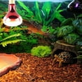 thumbnail image 2 of POINTERTECK 100W Infrared Basking Spot Heat Lamp Bulb Red Light Heat Bulbs for Pet Lizards Snakes Reptiles, 2 of 9