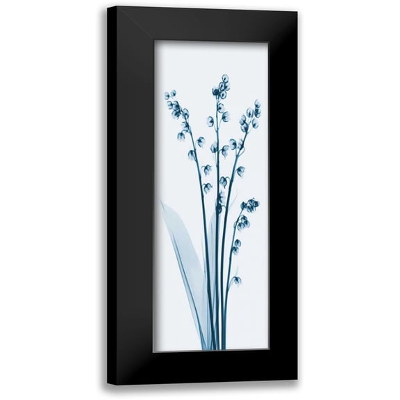 Koetsier, Albert 7x14 Black Modern Framed Museum Art Print Titled - Lily of the Valley in Blue 2