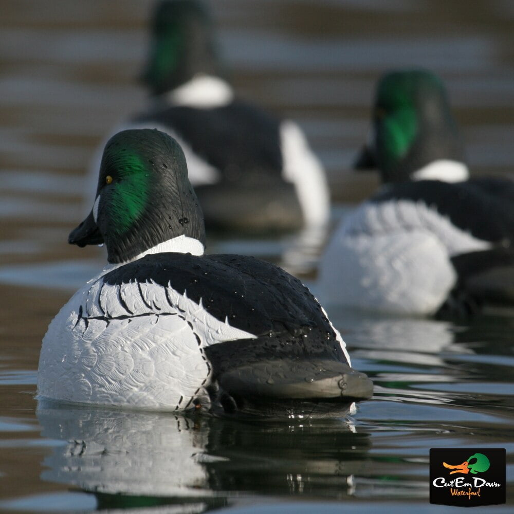 Final Approach Live Bufflehead Duck Decoys - 6 Pack, Foam Filled, Oversized, Realistic Floating Decoys
