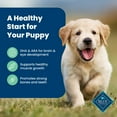 thumbnail image 6 of Blue Buffalo Life Protection Formula Puppy Dry Dog Food, Lamb & Oatmeal, 34 lbs., 6 of 12