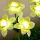 thumbnail image 4 of Luces LED solares para jardín, con forma de flor, de 3 cabezas, decorativas, para exteriores, con forma de narciso, para jardín y patio., 4 of 7