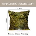 thumbnail image 4 of LALILO Throw Pillow Covers Stunning Long Ancient Live Tree Cushion Cover 18" x 18", 2 Pack, 4 of 6