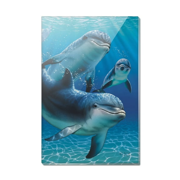 Dolphin Pals Ocean Diving Rectangle Acrylic Fridge Refrigerator Magnet