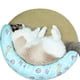 thumbnail image 2 of SAYOO Almohadilla de refrigeración para mascotas SAYOO  moda, 2 of 8