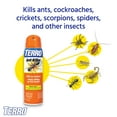 thumbnail image 2 of TERRO Ant Killer Spray - 2 Pack, 2 of 6