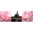thumbnail image 2 of Navas, Emily 18x9 White Modern Wood Framed Museum Art Print Titled - Pink Roses Eiffel Tower, 2 of 4