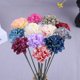 thumbnail image 4 of 5/10/20 piezas de minicabezales de flores de hortensia artificiales para manualidades, claveles, fiestas, hogar, habitación, boda, Navidad, decoración de coronas DIY, 4 of 5