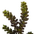 thumbnail image 2 of Nearly Natural 13” Succulent Artificial Flower (Set of 12), 2 of 3