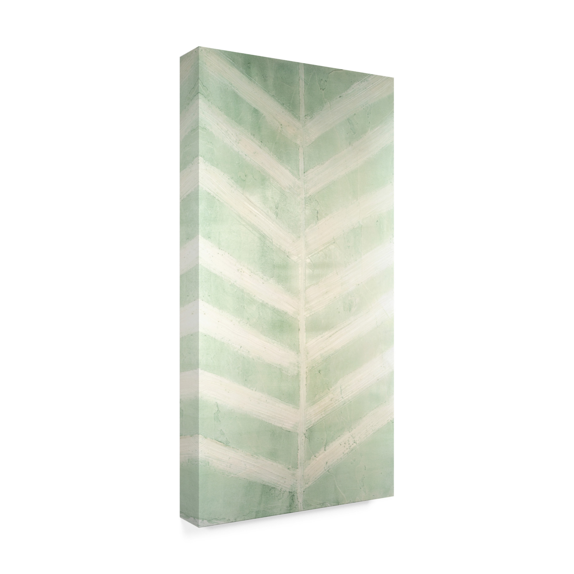 Canvas Wall Art - Vanna Lam 'Veriegatas I' Wall Art for Living Room, Bedroom, or Office Décor by Trademark Fine Art - 12 x 24 Inches