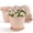 Pink, variant on FIASON 6 Pack 6 Inch Pink Embossed Plastic Plant Pots, Decorative Flower Planters with Drainage Holes & Saucers, Indoor Outdoor Gardening Pots
