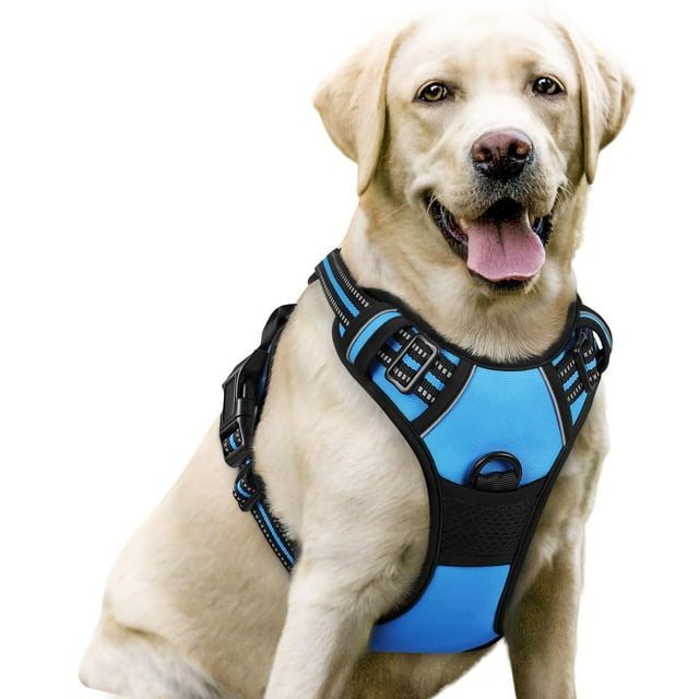 Arnés para perros Rabbitgoo, sin tirones, ajustable, azul, para perros grandes