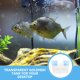thumbnail image 4 of YSNOOWE Acuario Pequeño De Plástico Para Escritorio Con Sin Bordes Para Peces Betta Y, 4 of 7