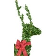thumbnail image 2 of Fraser Hill Farm 5-ft Boxwood Deer Topiary Statue with Warm White LED Lights, 2 of 7