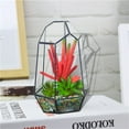 thumbnail image 1 of Geometric Fleshy Glass Flower House Crafts Greenhouse DIY Flower Decoration, 1 of 6
