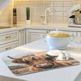 thumbnail image 6 of A Highland Cow Dish Drying Mats Kitchen Mat Microfiber Counter Absorbent Dish Pad Drainer Rack 18"x24", 6 of 7