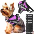 thumbnail image 2 of Correa para el pecho para mascotas a prueba de explosiones 905, cuerda de tracción para perros medianos y grandes, cuerda táctica transpirable para perros Fierce Dog, 2 of 4