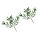 thumbnail image 5 of unbranded 2Ud Planta Decorativa Rama De Artificial Para Uso Doméstico Con Hojas, 5 of 7