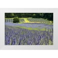 thumbnail image 3 of Dana Styber 32x23 White Modern Wood Framed Wall Art Titled - Lavender Field II, 3 of 5