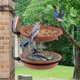 thumbnail image 4 of Bird feeder, bird feeding dish, garden decoration, for balcony, terrace, lawn trees, wall yard, 6.69 x 0.79 inches, 4 of 5