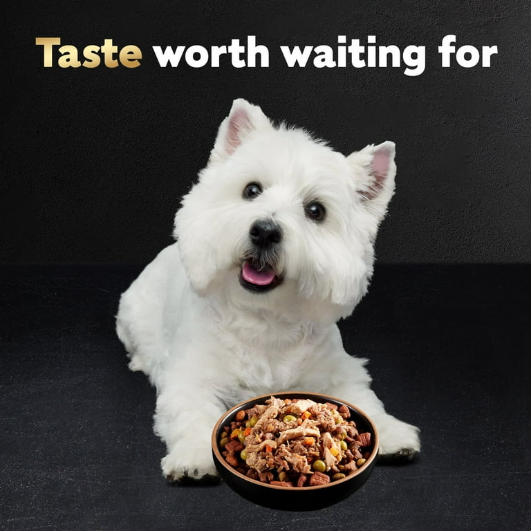 Cesar dog top food commercial 2019